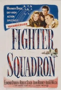 Fighter Squadron poster