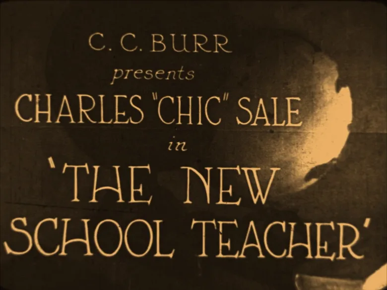 The New School Teacher poster