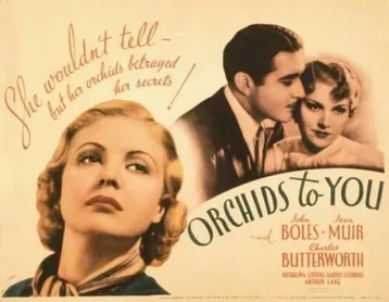 Orchids to You poster