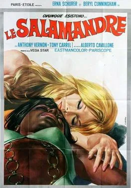 Le salamandre poster
