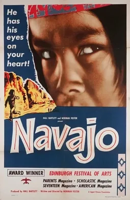 Navajo poster