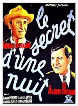 One Night's Secret poster