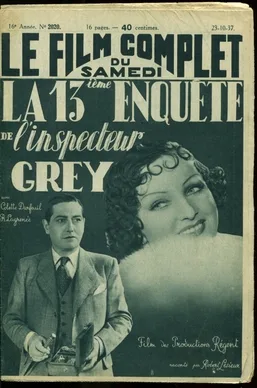 Grey's Thirteenth Investigation poster