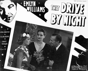 They Drive by Night poster