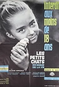 Wild Roots of Love poster