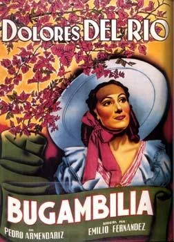 Bugambilia poster
