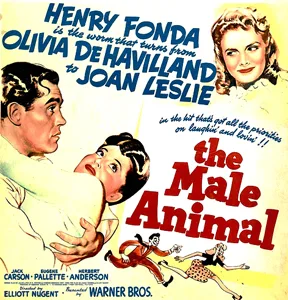 The Male Animal poster
