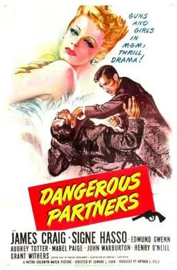 Dangerous Partners poster