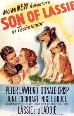 Son of Lassie poster