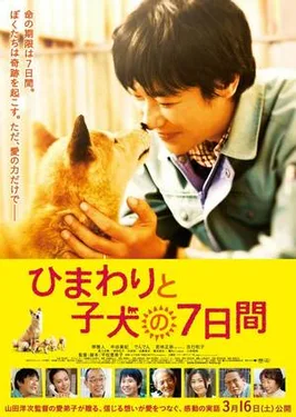 7 Days Of Himawari Her Puppies poster
