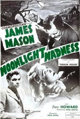 The Night Has Eyes poster