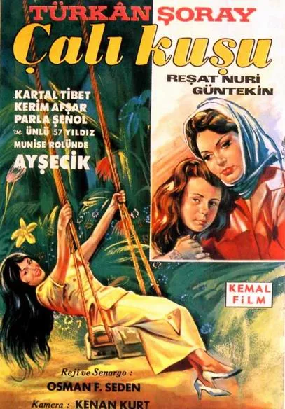 Çalıkuşu poster