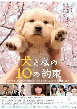 10 Promises to My Dog poster