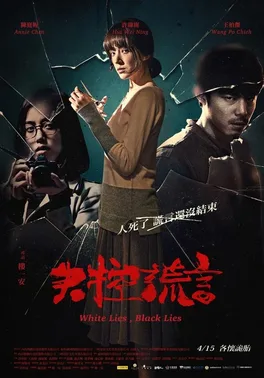 White Lies, Black Lies poster