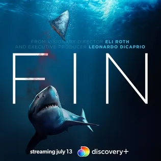 Fin poster