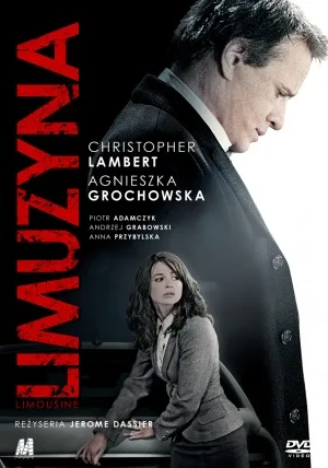 Limousine poster