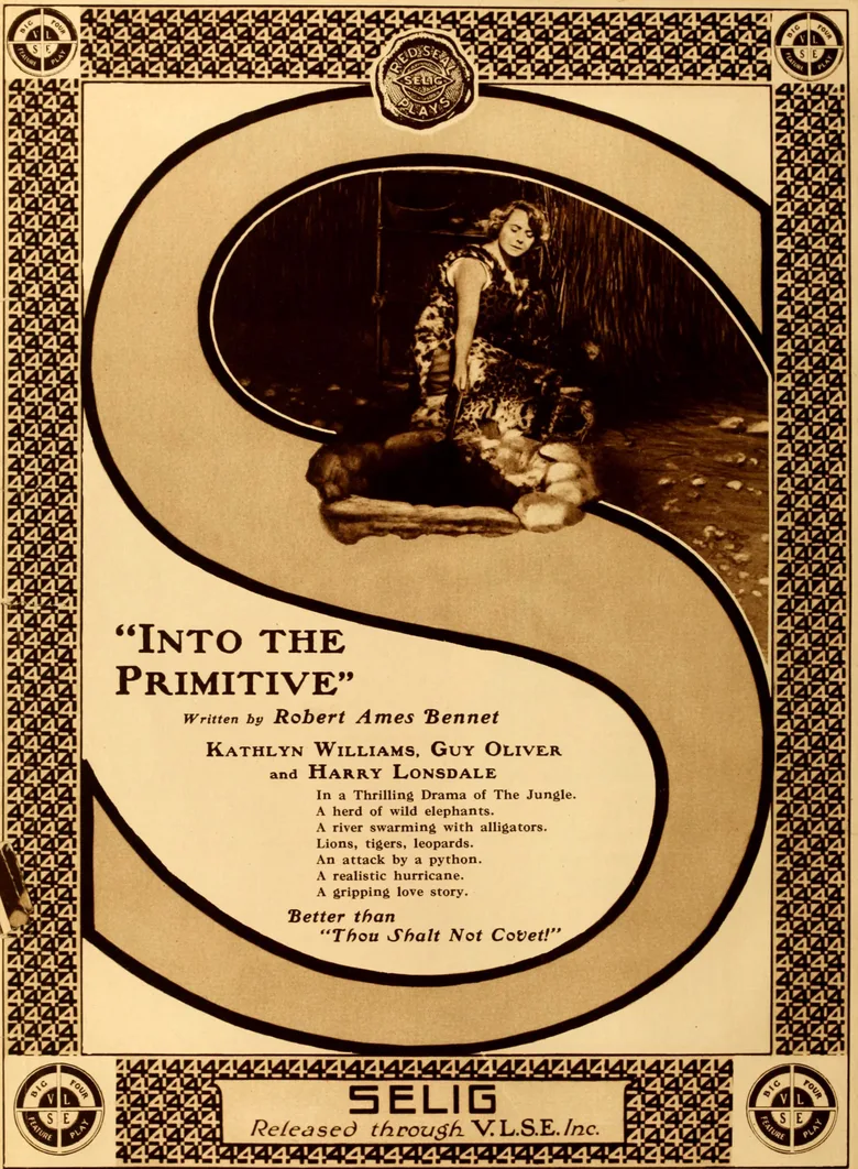Into the Primitive poster