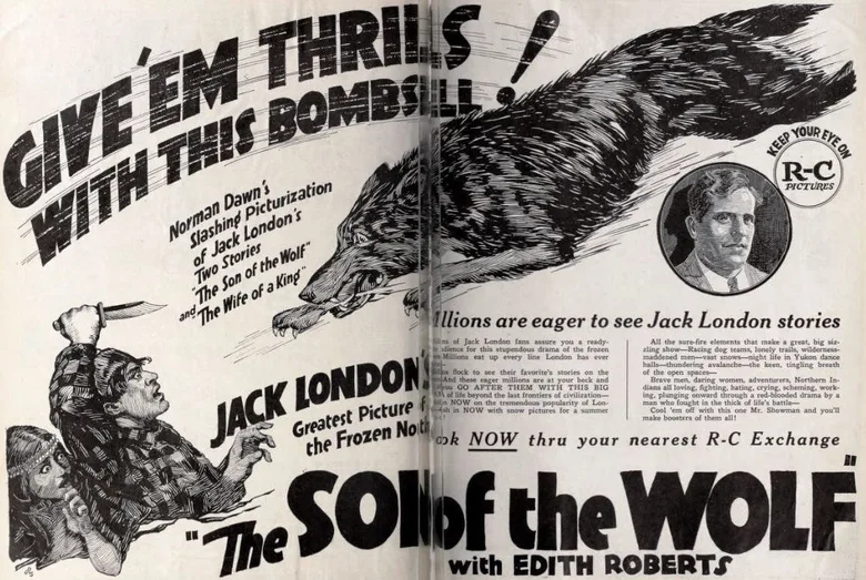 The Son of the Wolf poster
