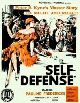 Self Defense poster