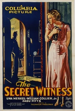 The Secret Witness poster