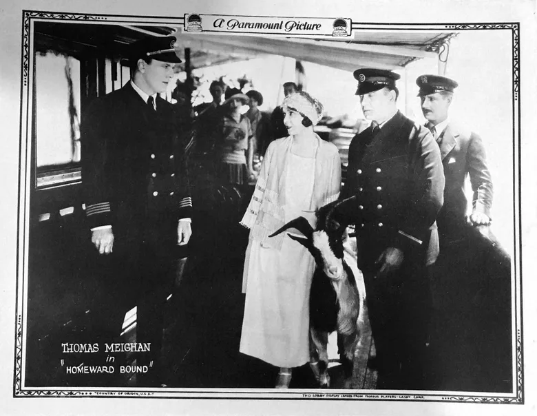 Homeward Bound poster