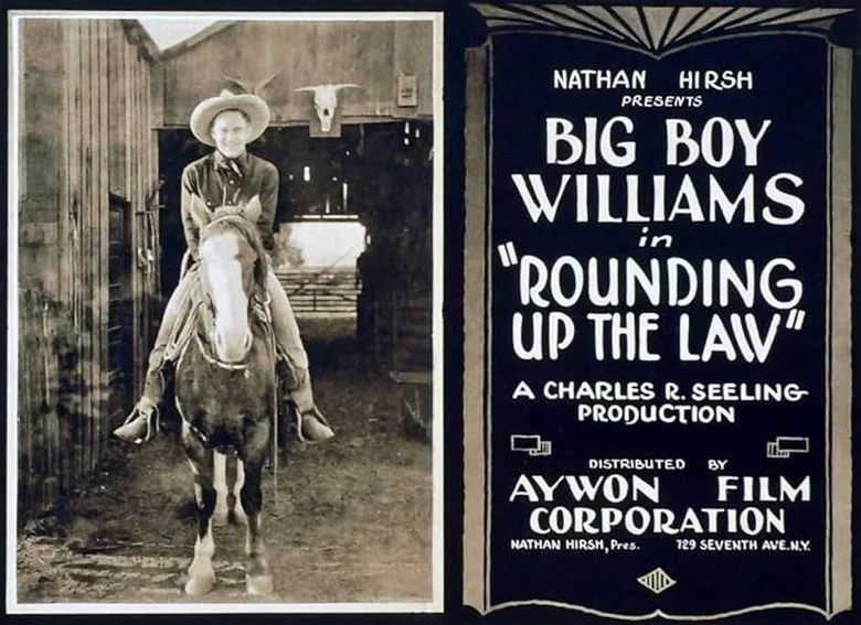 Rounding Up the Law poster