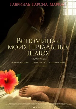 Memories of My Melancholy Whores poster