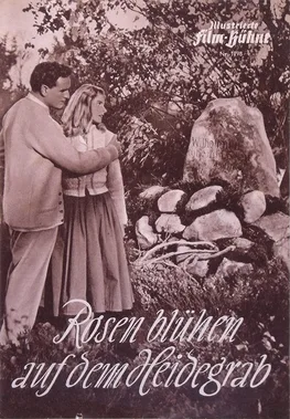 Rosen blühen auf dem Heidegrab poster