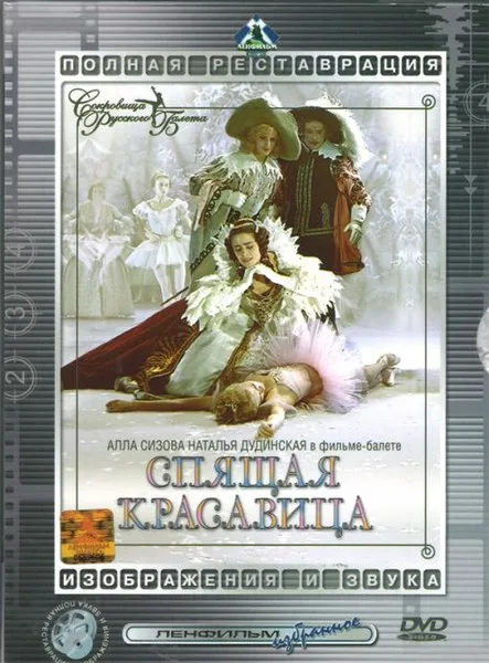 The Sleeping Beauty poster