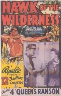 Hawk of the Wilderness poster