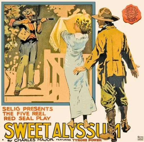 Sweet Alyssum poster