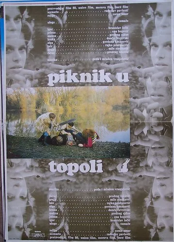 Piknik u Topoli poster