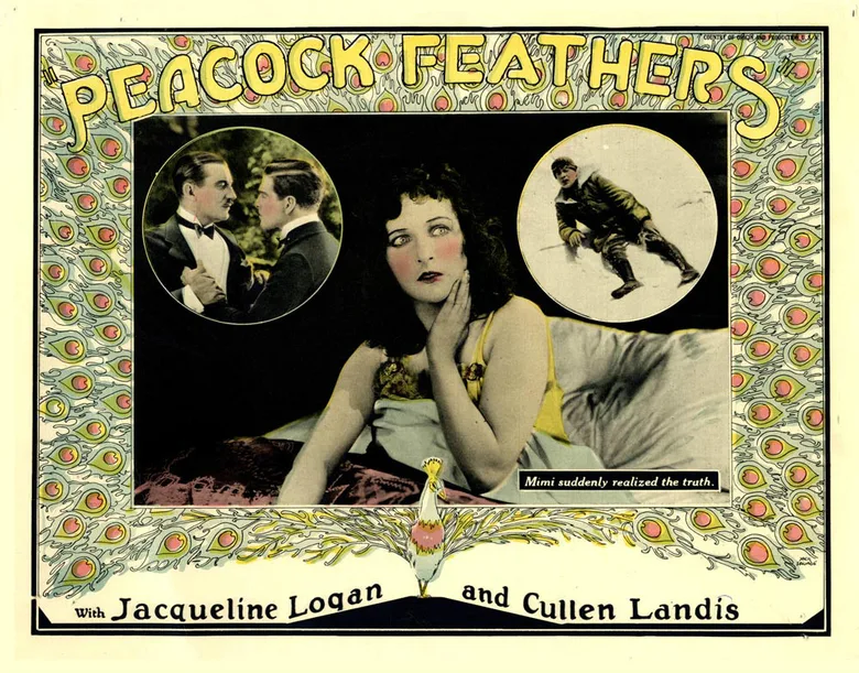 Peacock Feathers poster