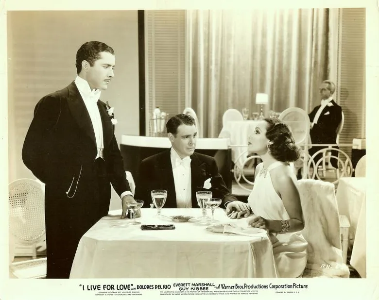 I Live for Love poster