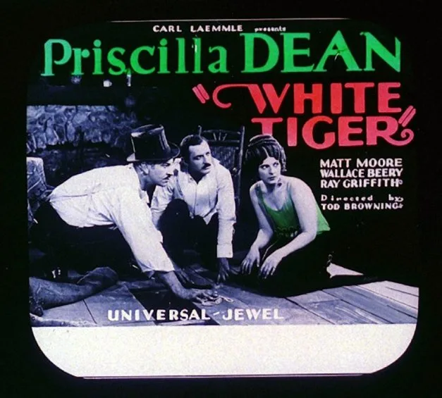 White Tiger poster