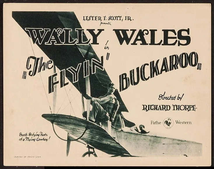The Flying Buckaroo poster