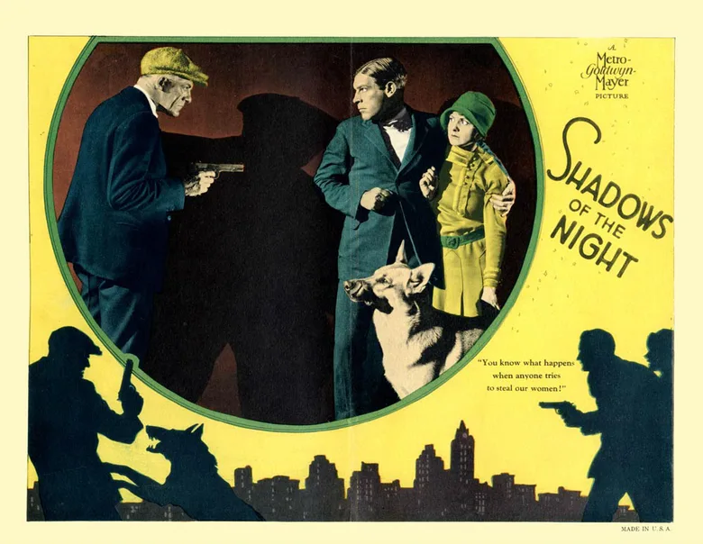 Shadows of the Night poster