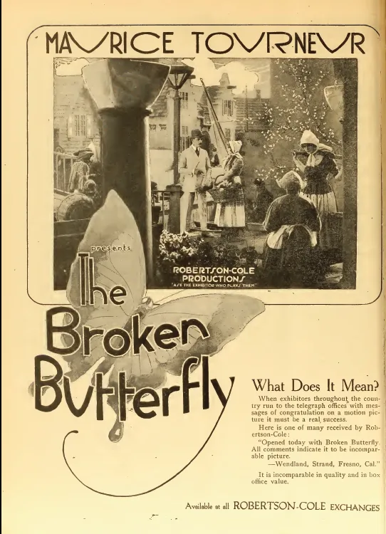 The Broken Butterfly poster