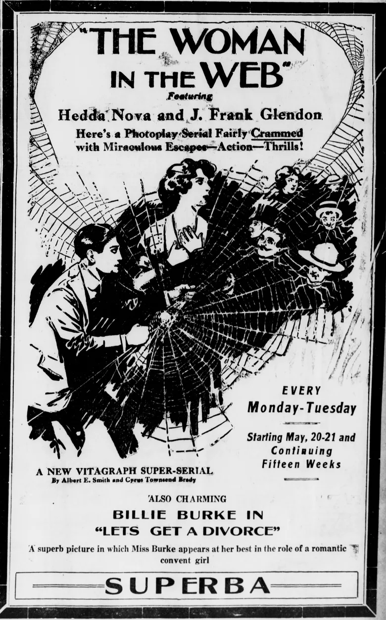 A Woman in the Web poster