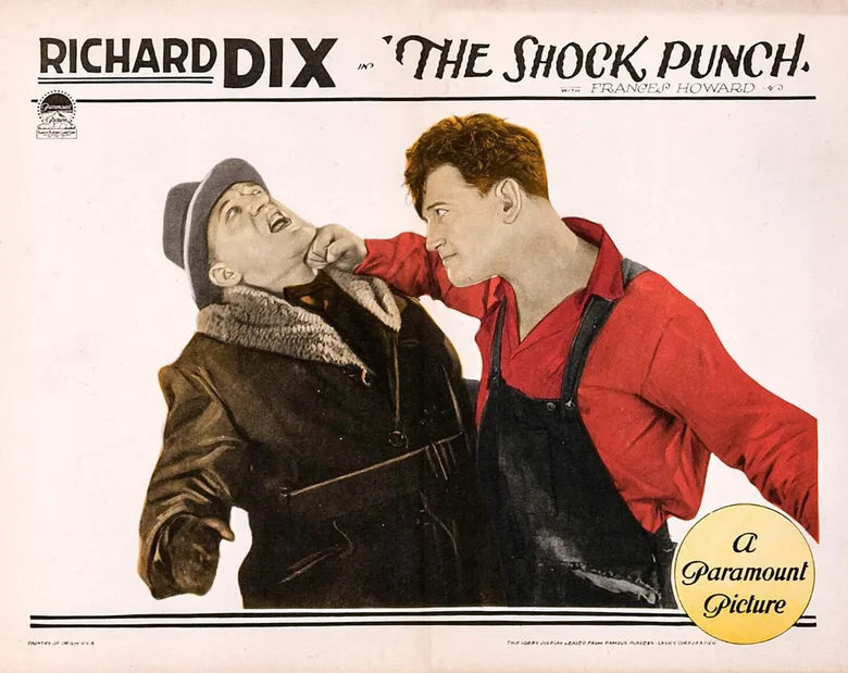 The Shock Punch poster