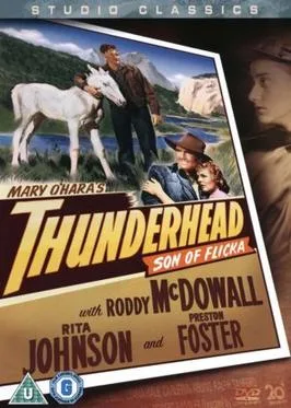 Thunderhead, Son of Flicka poster