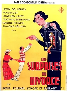 The Surprises of Divorce poster