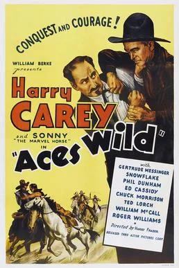 Aces Wild poster