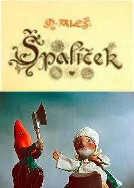 The Czech Year poster