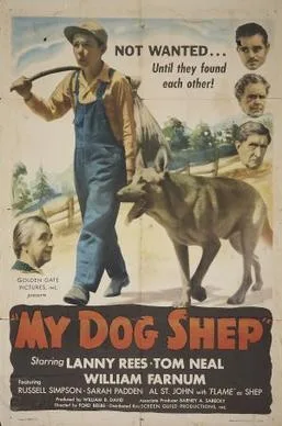 My Dog Shep poster