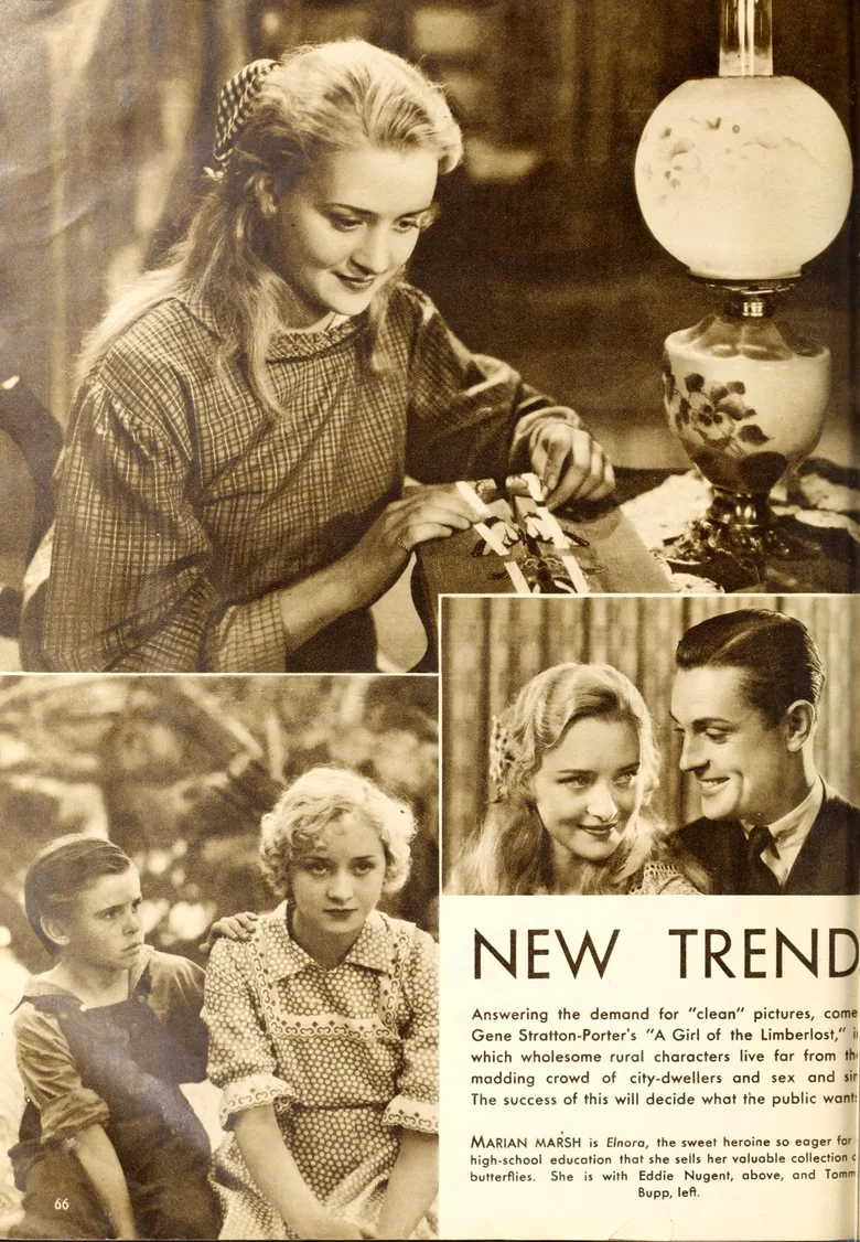 A Girl of the Limberlost poster