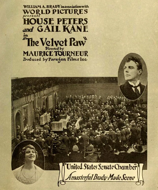 The Velvet Paw poster