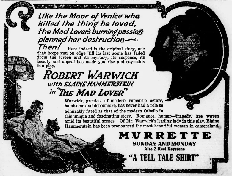 The Mad Lover poster