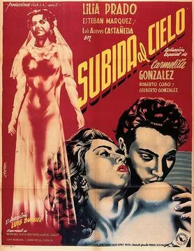 Mexican Bus Ride poster