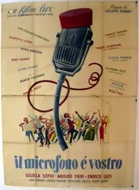 Il Microfono è vostro poster
